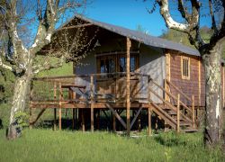 Tentes Lodge 14 eco chalet03 1 ec5b7140