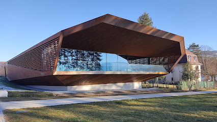 Activités 23 2022 01 16