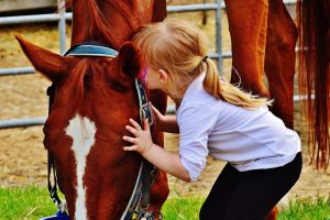 Activités 14 image 2 f5a570c5